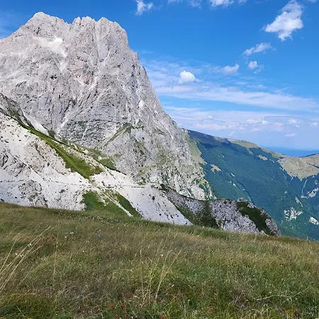 Apartment Gufo Azzurro