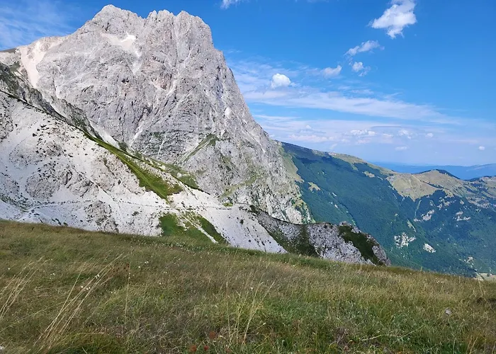 Apartment Gufo Azzurro